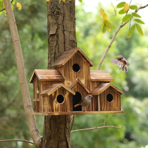 Vogelhuis – Houten – Meerdere Ingangen – Voor in de Tuin