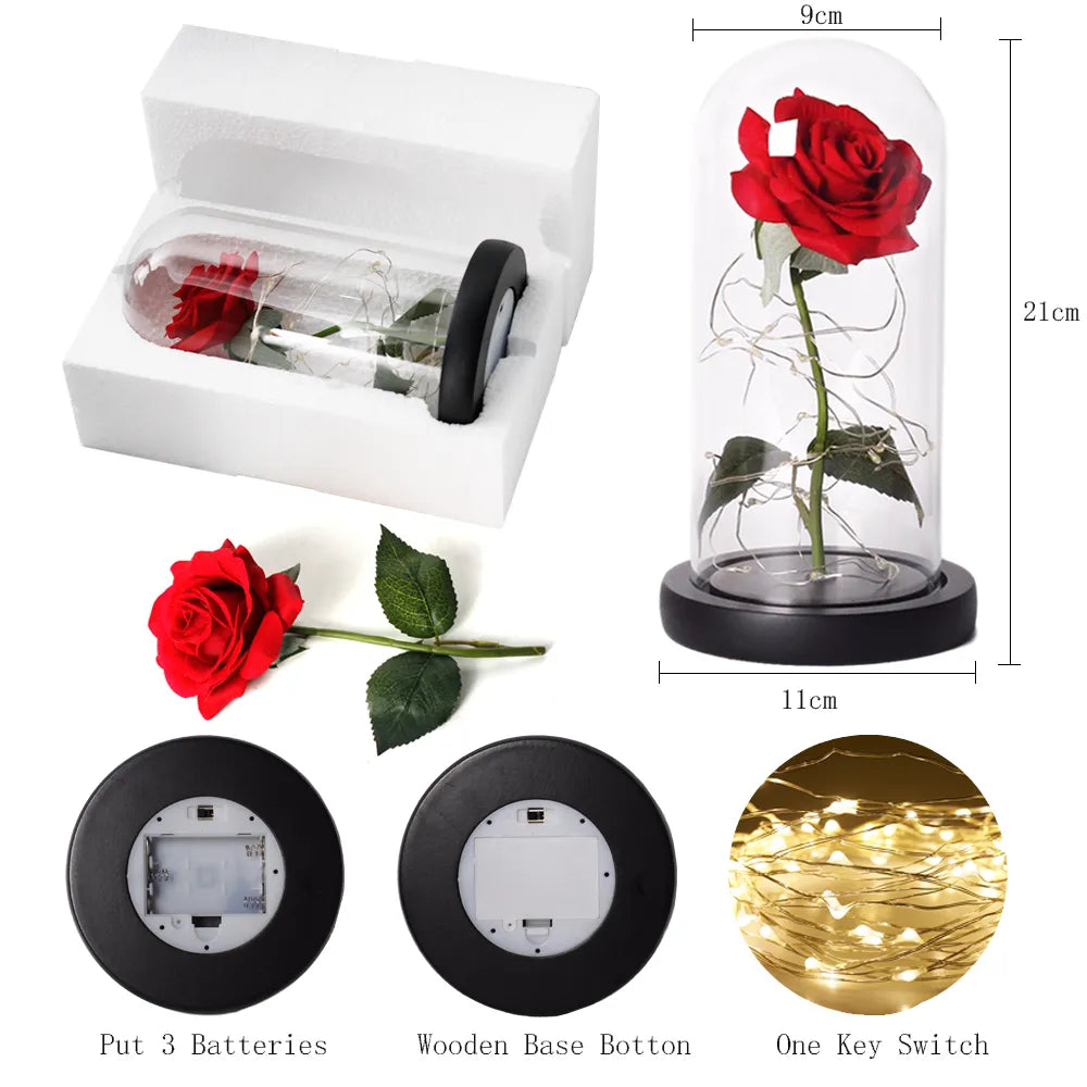 Verlichte Roos – Glazen Bedekking – Decoratie voor Huis en Geschenken