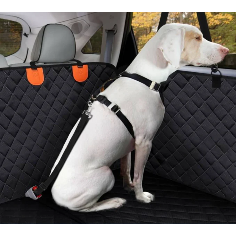 Honden Autodeken Achterbank – Waterdicht Materiaal – Gordelbevestiging
