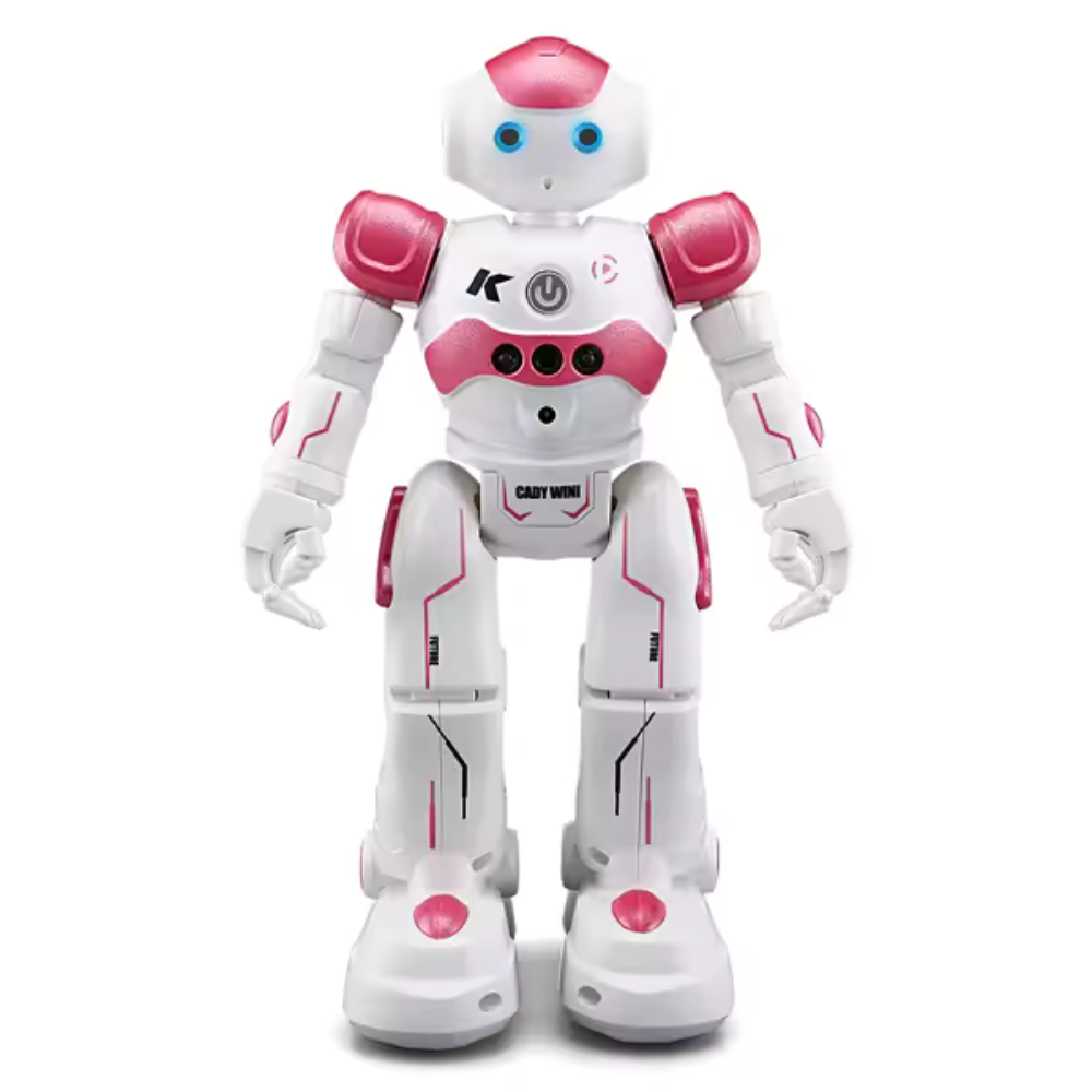 Interactieve Humanoïde Robot – Programmeerbare Functies – Voor educatie en entertainment