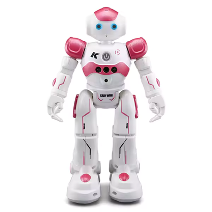 Interactieve Humanoïde Robot – Programmeerbare Functies – Voor educatie en entertainment
