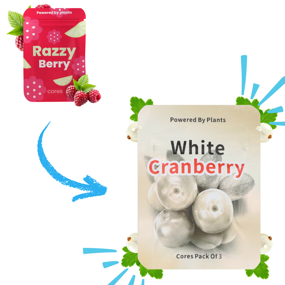 QuitAir stoppen met roken set | Natuurlijk alternatief voor roken en vapen