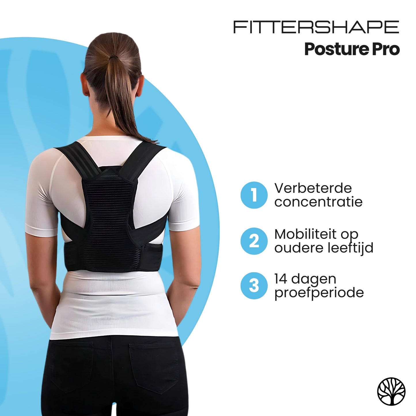 Fittershape Posture Pro