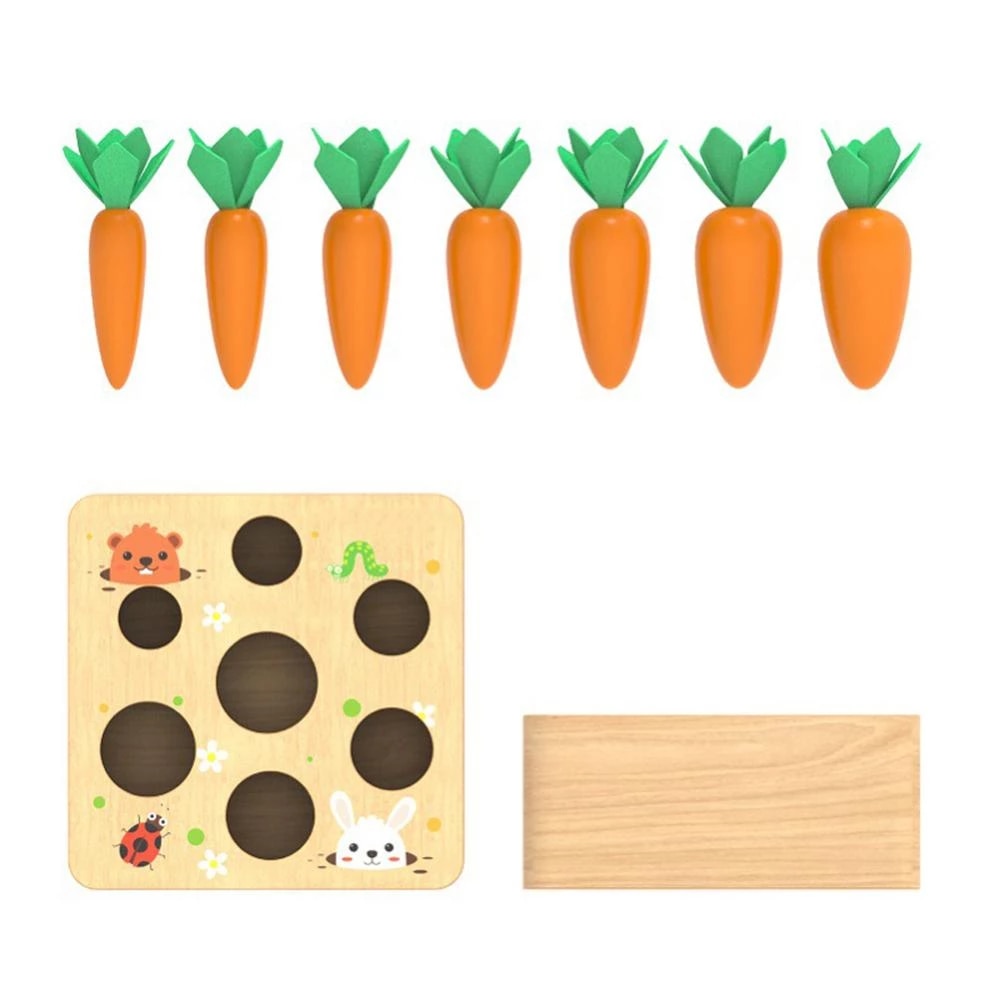 Houten Wortels Sorteerdoos – Educatief – Voor Kinderen – Met Verwijderbare Wortels