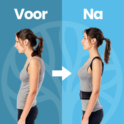 Fittershape Posture Pro