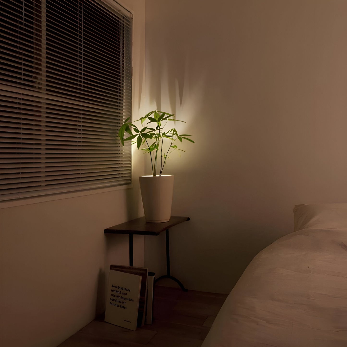 Lichtspot – Verstelbaar – Met Afstandsbediening – Voor Wanddecoratie