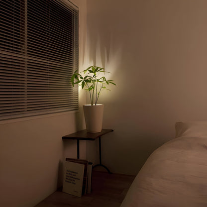 Lichtspot – Verstelbaar – Met Afstandsbediening – Voor Wanddecoratie