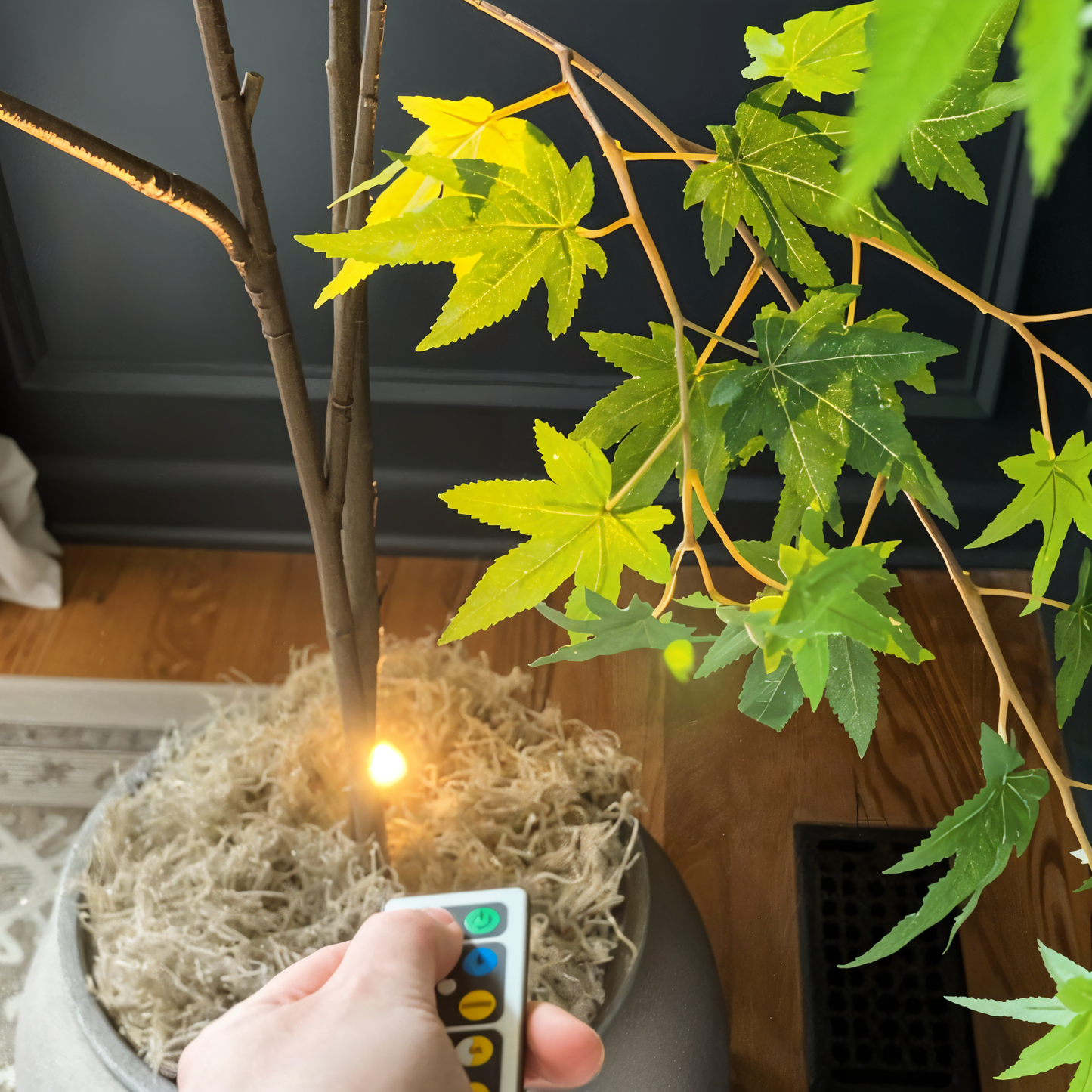 Lichtspot – Verstelbaar – Met Afstandsbediening – Voor Wanddecoratie