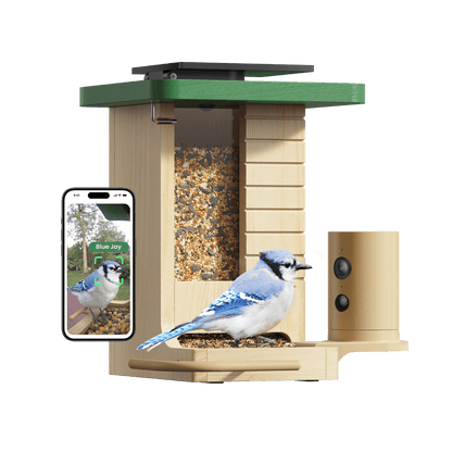 Slimme Vogelvoederautomaat – Camera met Nachtzicht – App-besturing – Voor Vogelherkenning