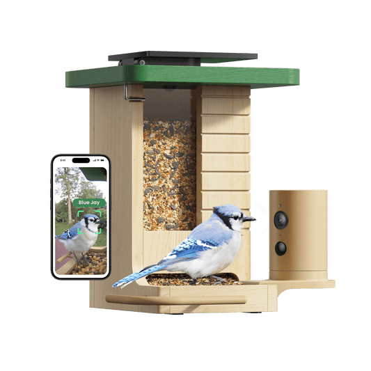 Slimme Vogelvoederautomaat – Camera met Nachtzicht – App-besturing – Voor Vogelherkenning