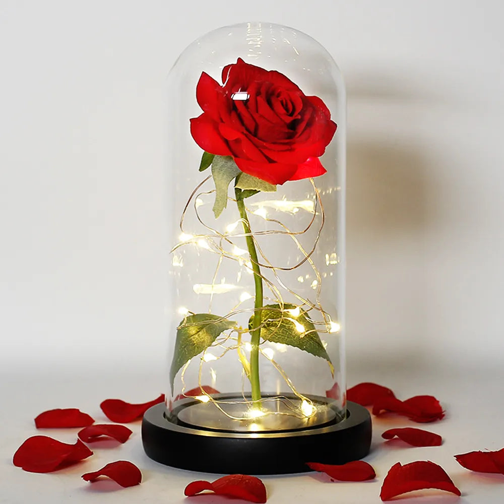 Verlichte Roos – Glazen Bedekking – Decoratie voor Huis en Geschenken