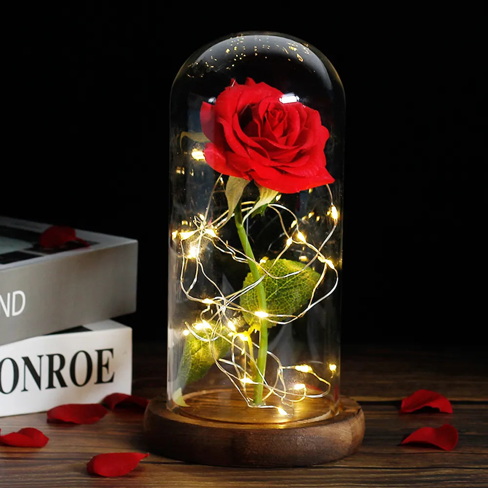 Verlichte Roos – Glazen Bedekking – Decoratie voor Huis en Geschenken