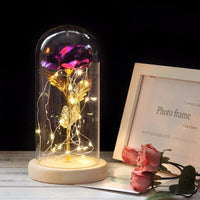Paars Gouden Steel Licht