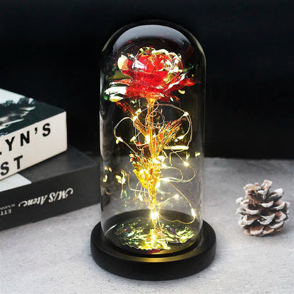 Verlichte Roos – Glazen Bedekking – Decoratie voor Huis en Geschenken