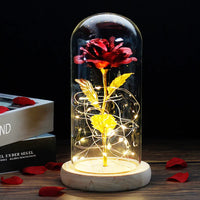 Rood Gouden Steel Licht