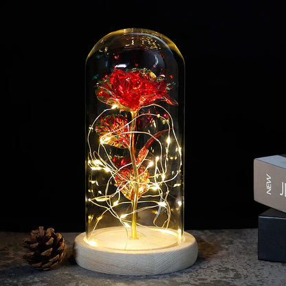 Verlichte Roos – Glazen Bedekking – Decoratie voor Huis en Geschenken