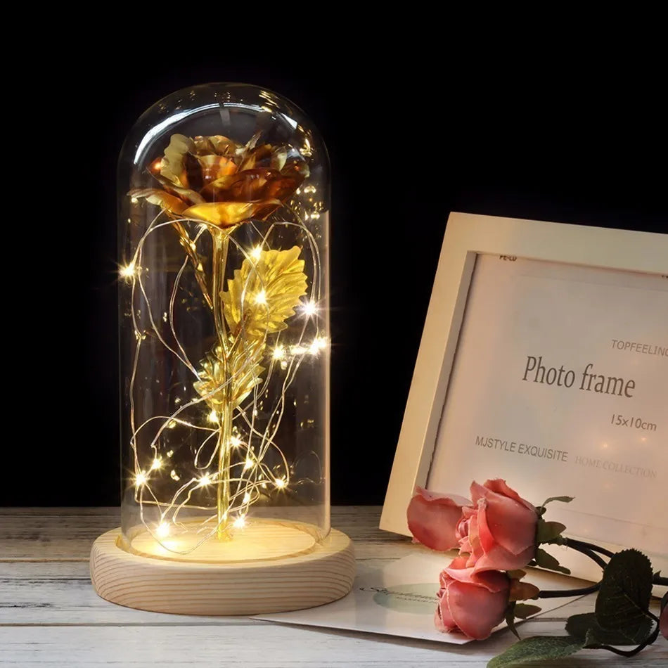 Verlichte Roos – Glazen Bedekking – Decoratie voor Huis en Geschenken