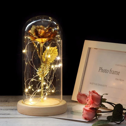 Verlichte Roos – Glazen Bedekking – Decoratie voor Huis en Geschenken