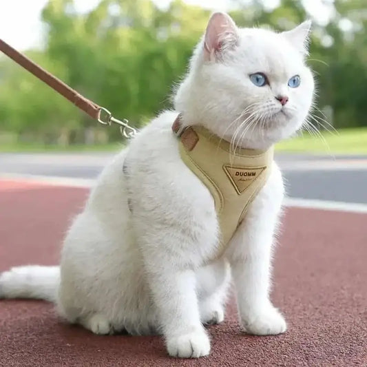 Honden- en Kattenharnas – Verstelbaar – Ademend – Voor Binnen en Buiten