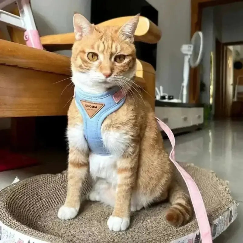 Honden- en Kattenharnas – Verstelbaar – Ademend – Voor Binnen en Buiten