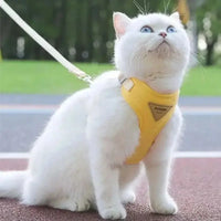 GEEL