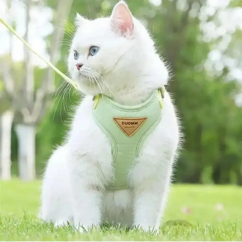Honden- en Kattenharnas – Verstelbaar – Ademend – Voor Binnen en Buiten