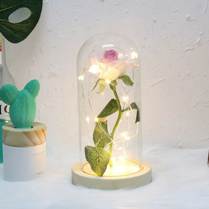 Verlichte Roos – Glazen Bedekking – Decoratie voor Huis en Geschenken