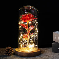 Rood Gouden Steel Donker