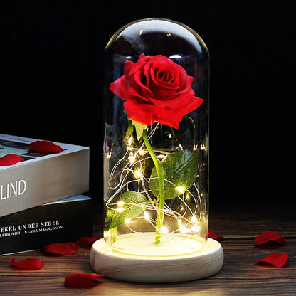 Verlichte Roos – Glazen Bedekking – Decoratie voor Huis en Geschenken