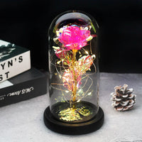 Roze Gouden Steel Zwart