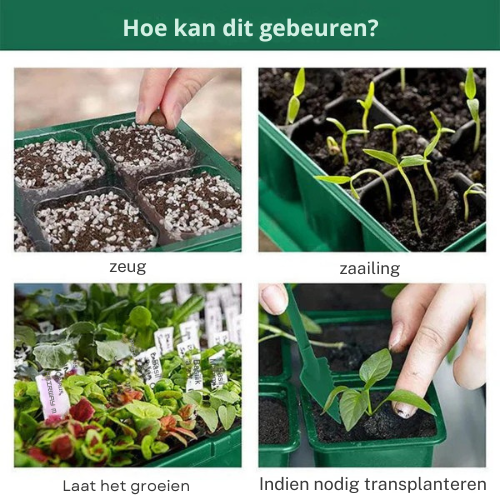 Mini Kas met LED Verlichting en Luchtcirculatie – Voor Zaadlinggroei en Tuinieren