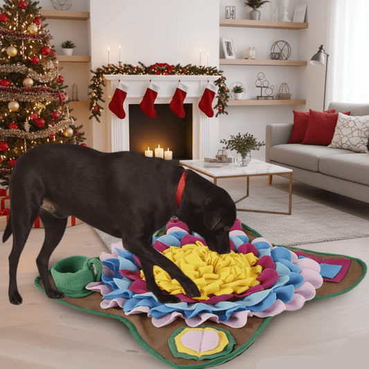 Snuffelmat voor Honden – Stimulatie – Kleurrijk Design – Voor Mentale Activiteit