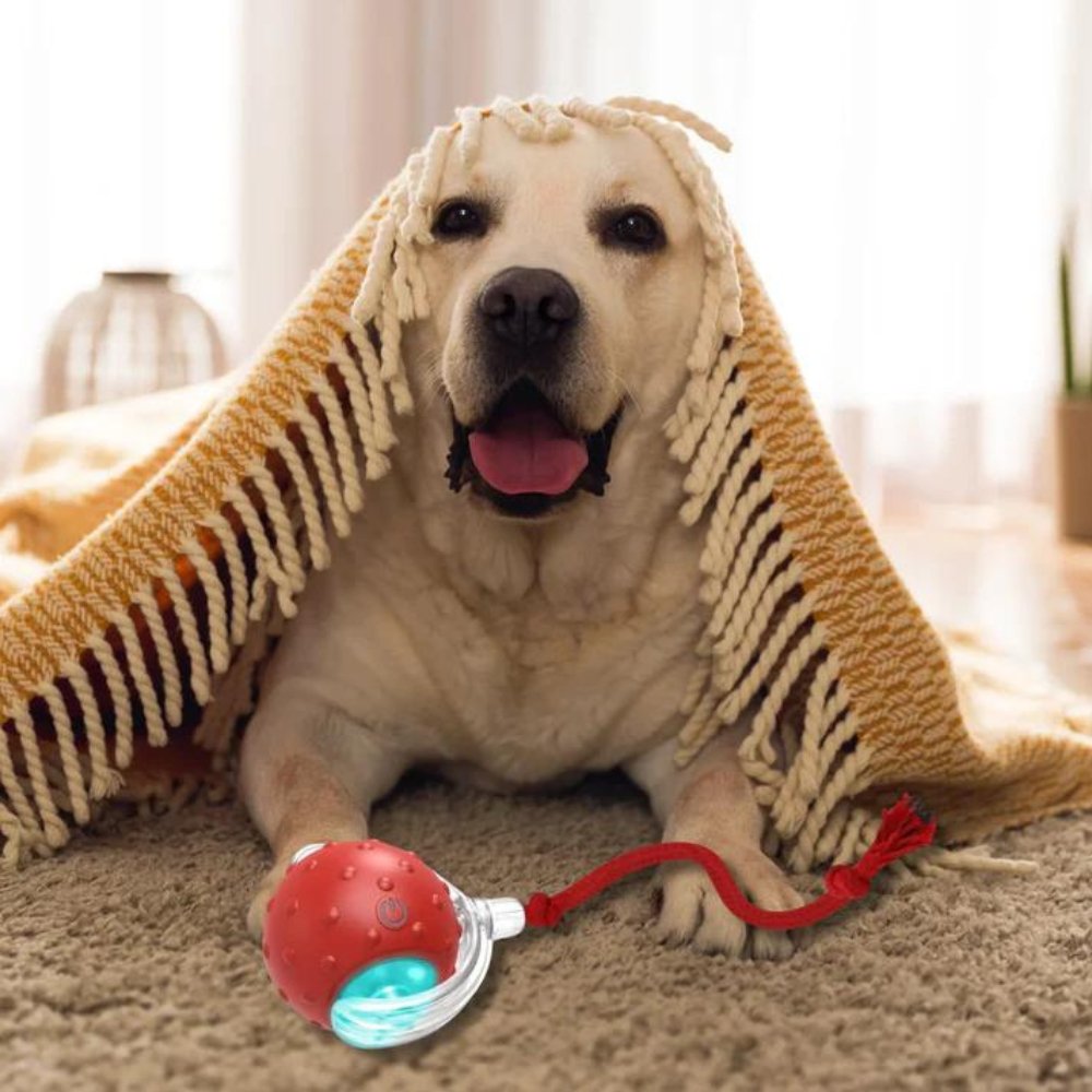 Virall Rolling Ball – Geluidseffecten – Robuuste structuur – Voor honden