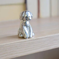 EXTRA - Hond