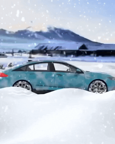 Sneeuwverwijderaar voor Auto – Ultrasone technologie – Voor sneeuw en ijs