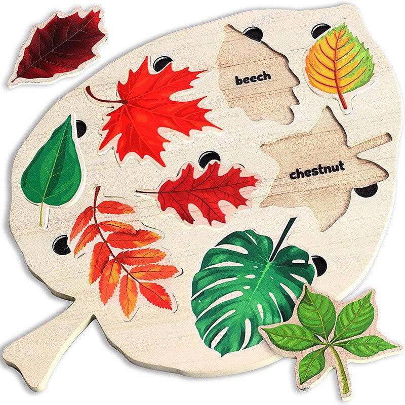 Houten Bladeren Puzzel – Educatief – Voor Kinderen – Met Bladherkenning