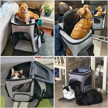 Honden- en Kattenrugzak – Draagbare Reistas – Ademend en Ruim