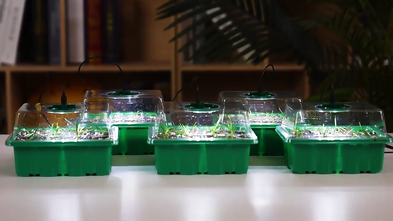 Mini Kas met LED Verlichting en Luchtcirculatie – Voor Zaadlinggroei en Tuinieren